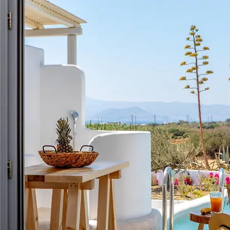 Argana Naxos Vila