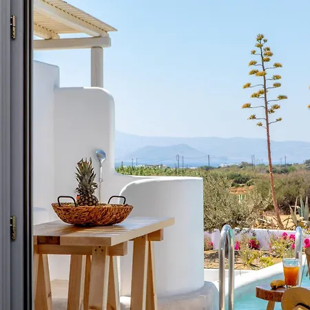 Argana Naxos Villa